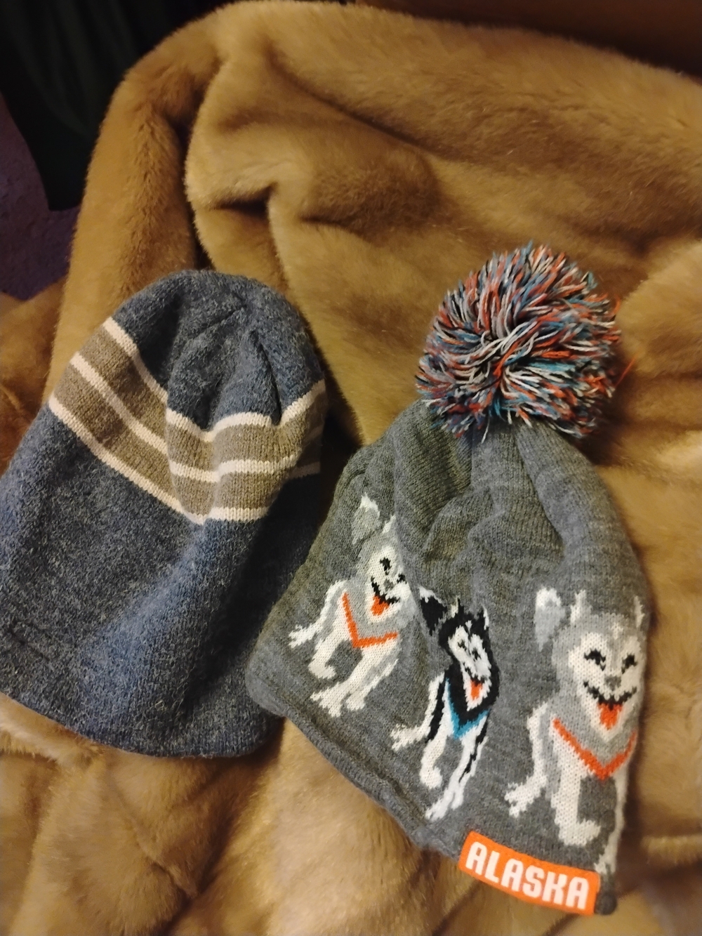 Alaska Winter Hat Adult. Husky 2